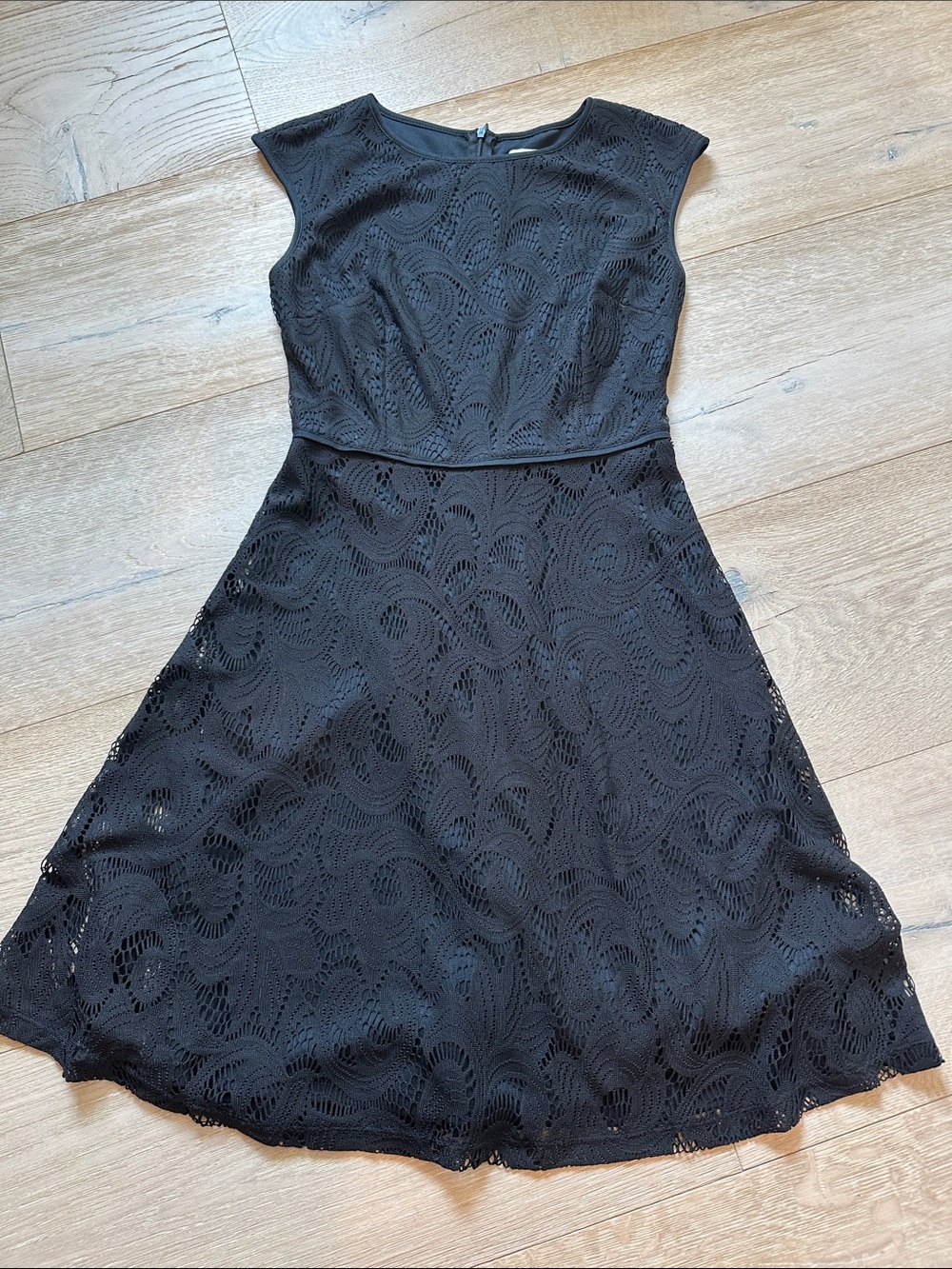 Elegant Black Lace Fit-and-Flare Mini Dress